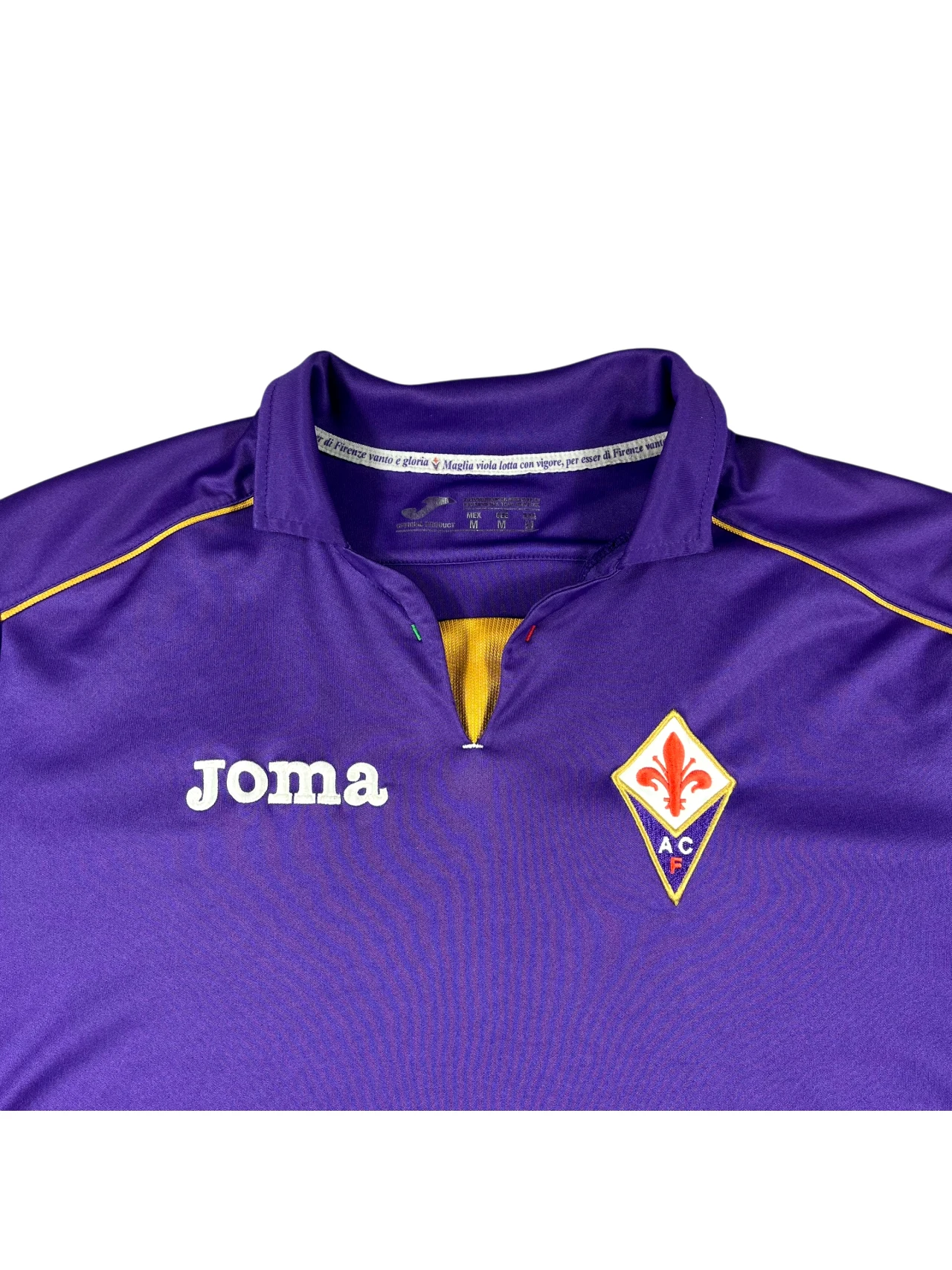 AC Fiorentina 13/14 Home