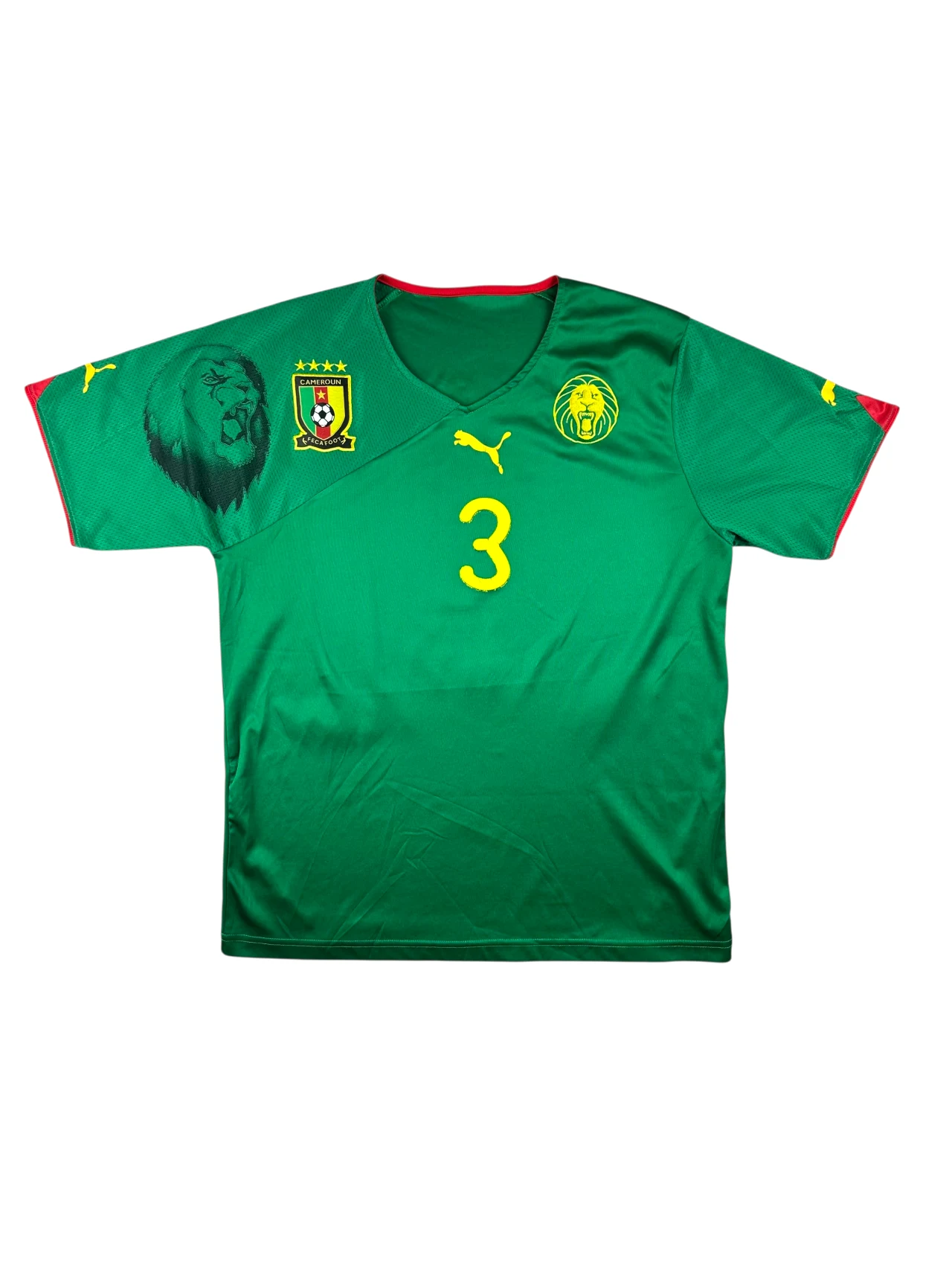 Cameroon 2010 Home Wome