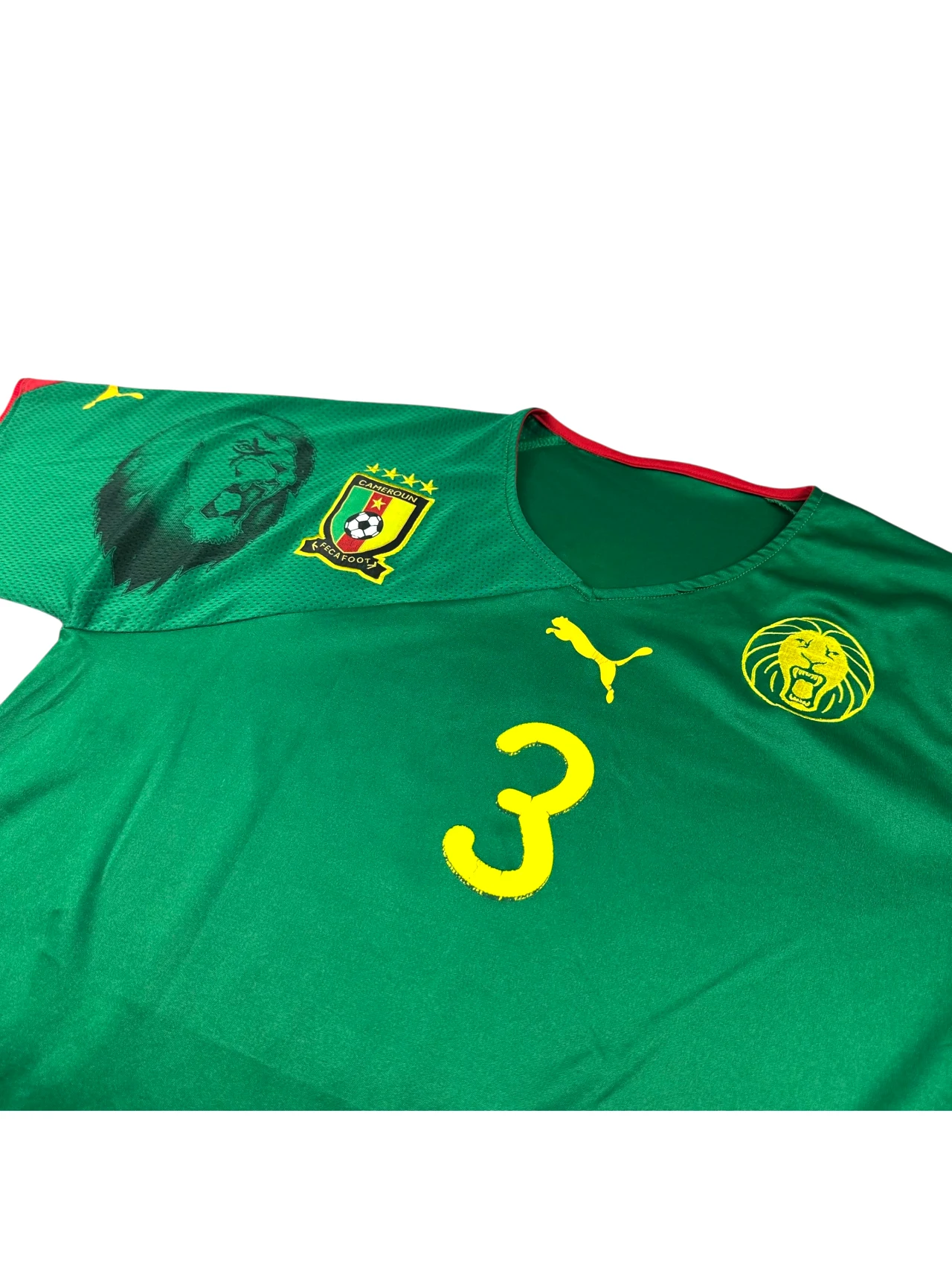 Cameroon 2010 Home Wome