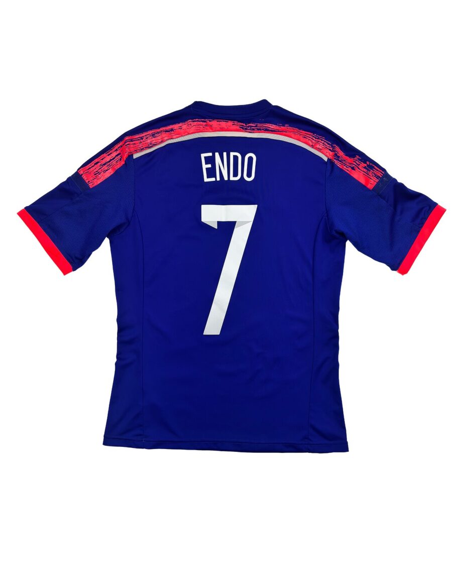 Japan 2014 Endo