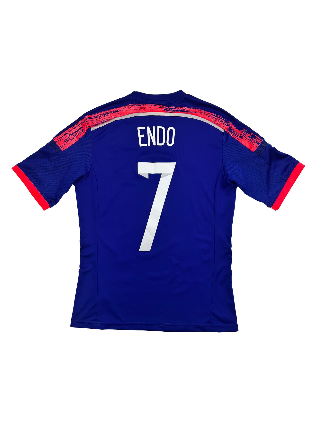 Japan 2014 Endo