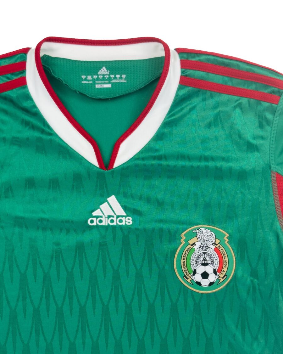 Mexico 2010 Home