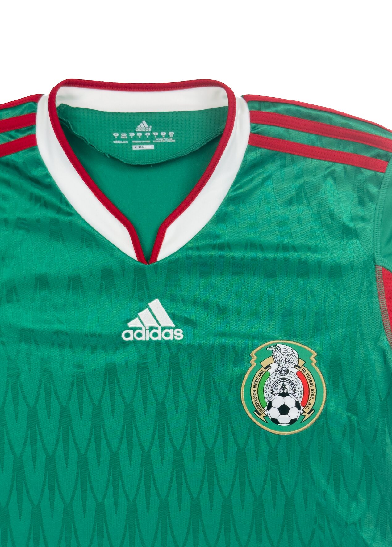 Mexico 2010 Home