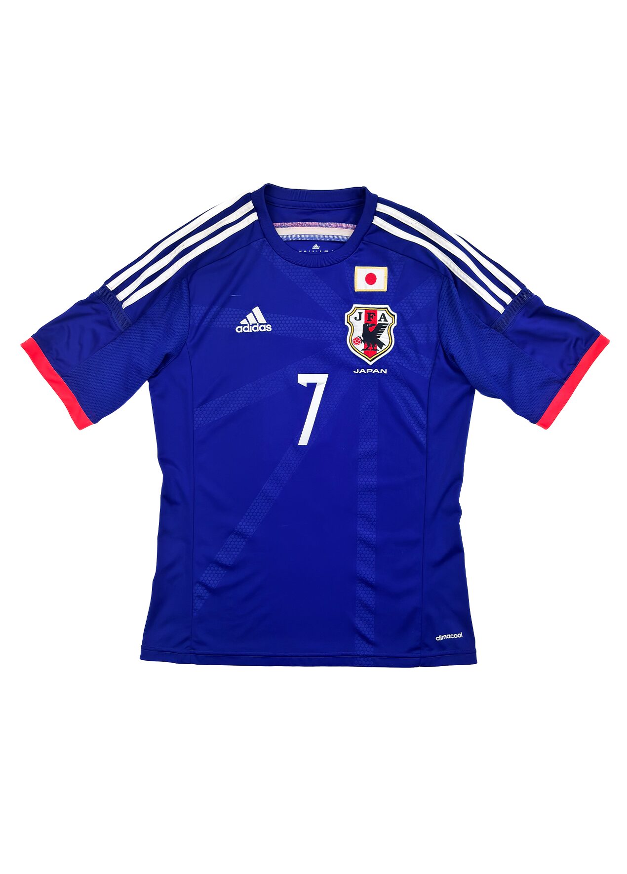 Japan 2014 Endo