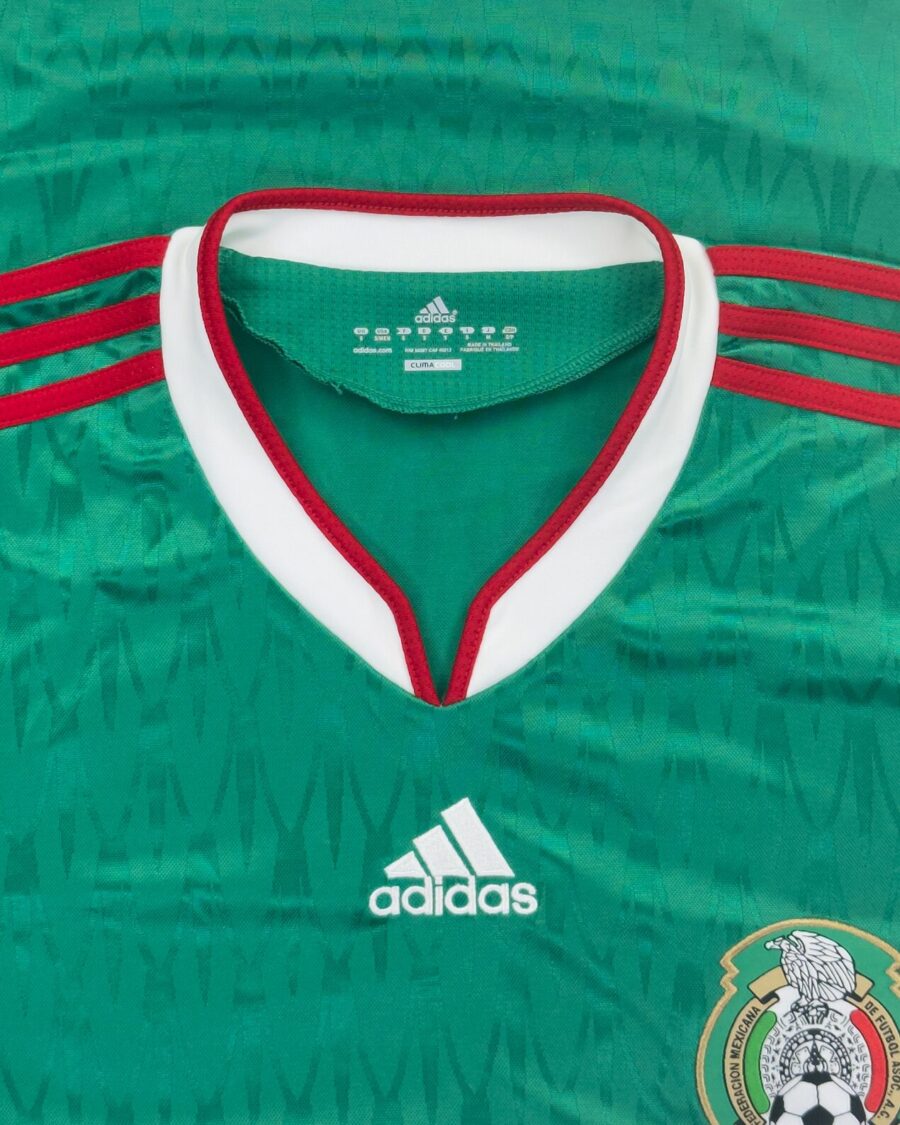 Mexico 2010 Home