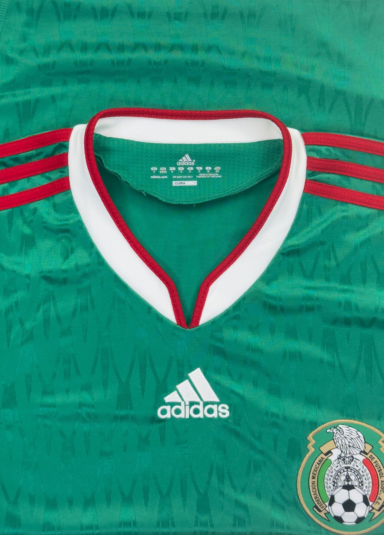 Mexico 2010 Home
